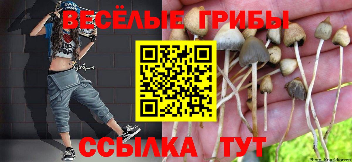 Галлюциногенные грибы Cubensis Черняховск